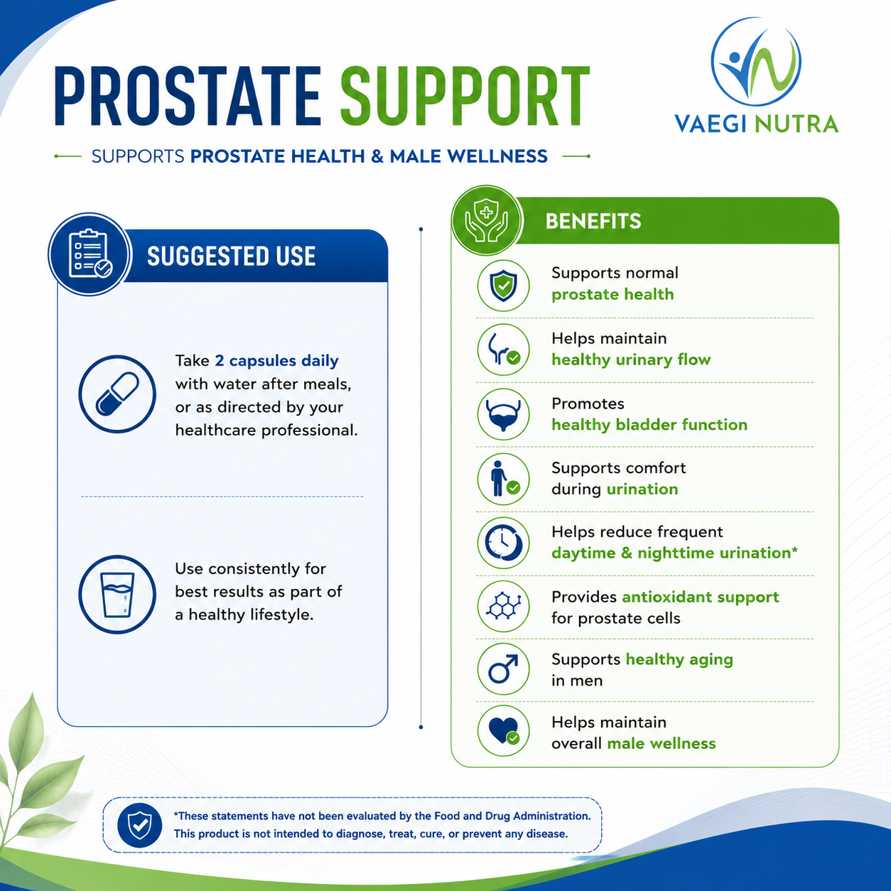 PROSTATE SUPPORT